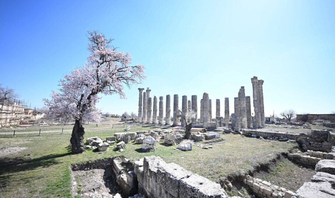 Mersin Büyükşehir Belediyesi, Silifke ilçesinde yer alan 2 bin 300