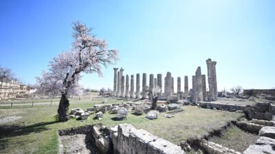 Mersin Büyükşehir Belediyesi, Silifke ilçesinde yer alan 2 bin 300