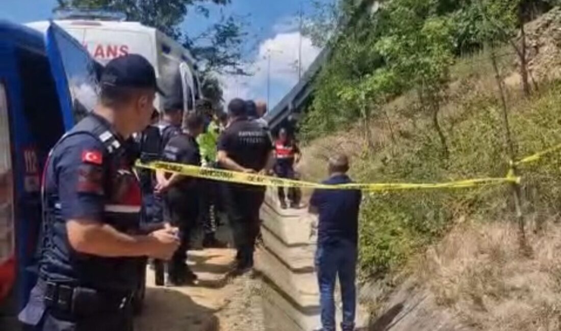 Anadolu Otoyolu’nun Kaşnaşlı Viyadükleri mevkisinde otomobiliyle seyir halindeyken viyadükten atlayan