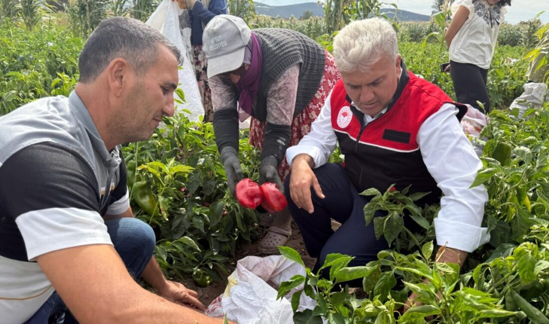 AK Parti Balıkesir Milletvekili Dr. Mustafa Canbey, Kesput Şeremetler Mahallesi’nde