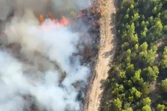 Antalya’nın Serik ilçesinde orman dışı alanda başlayan yangını kontrol altına