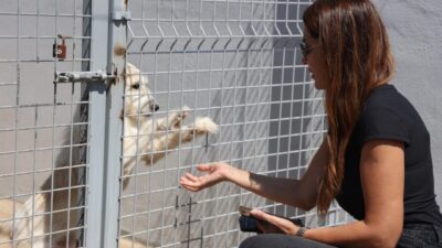 Antalya Büyükşehir Belediyesi Sokak Hayvanları Geçici Bakımevi ve Rehabilitasyon Merkezi,