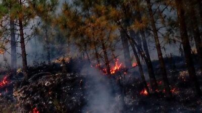 Bursa’nın Keles ilçesinde sabah saatlerinde başlayan yangına ekipler tarafından havadan