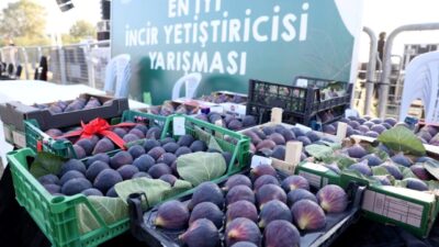 Bursa'da Nilüfer Belediyesi’nin gelenekselleşen 12. Akçalar Fadıllı İncir Festivali, 13
