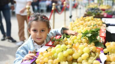 Bursa'da 12. Osmangazi Karabalçık Üzüm Festivali’nde üreticilerin emekleri ödüllendirilirken, Osmangazi