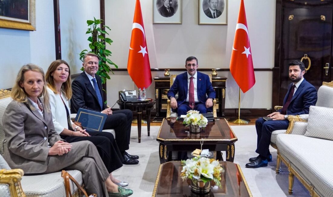 Cumhurbaşkanı Yardımcısı Cevdet Yılmaz, Avrupa Birliği, Japonya, Azerbaycan ve Pakistan’ın