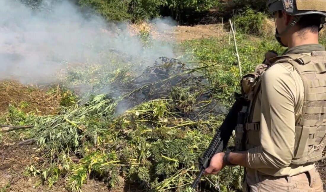 İçişleri Bakanlığı, jandarma ekiplerince düzenlenen operasyonda yaklaşık 5 ton toz