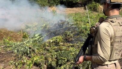 İçişleri Bakanlığı, jandarma ekiplerince düzenlenen operasyonda yaklaşık 5 ton toz