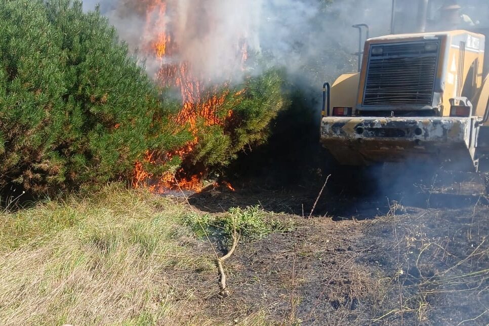 Düzce’de fındık bahçesinde yakılan ateş orman yangını çıkardı.