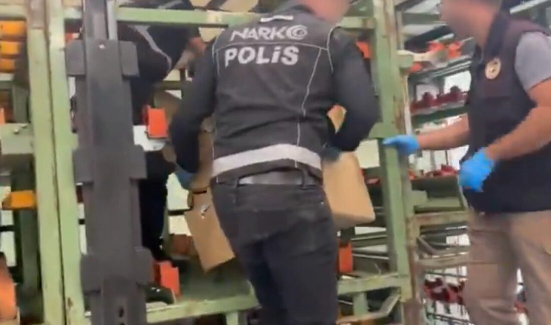 Edirne İl Emniyet Müdürlüğü, Hamzabeyli Gümrük sahasında ülkeye giriş yapmak