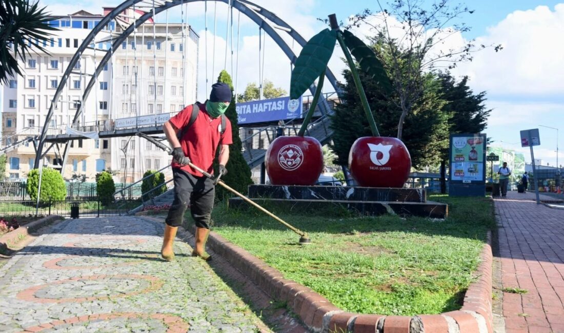 Giresun Belediyesi Park ve Bahçeler Müdürlüğü ekipleri, kent genelindeki yeşil