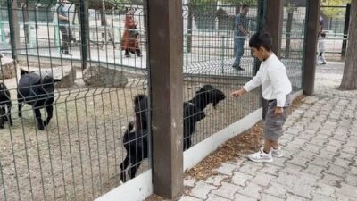 Kayseri Büyükşehir Belediyesi tarafından 30 Ağustos Zafer Bayramı dolayısıyla ücretsiz