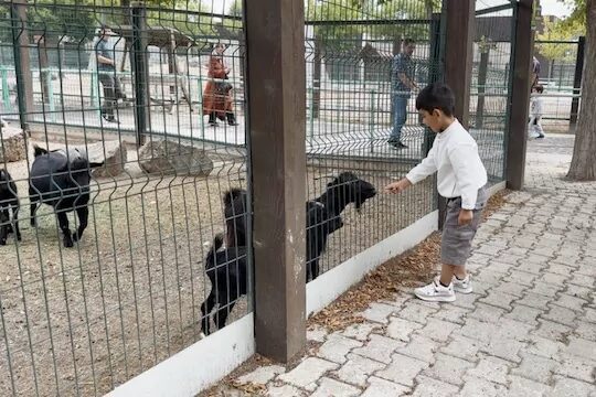 Kayseri Büyükşehir Belediyesi tarafından 30 Ağustos Zafer Bayramı dolayısıyla ücretsiz