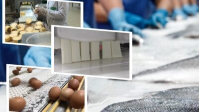 Tarım ve Orman Bakanı İbrahim Yumaklı, IPARD-III Programı kapsamında Ağustos