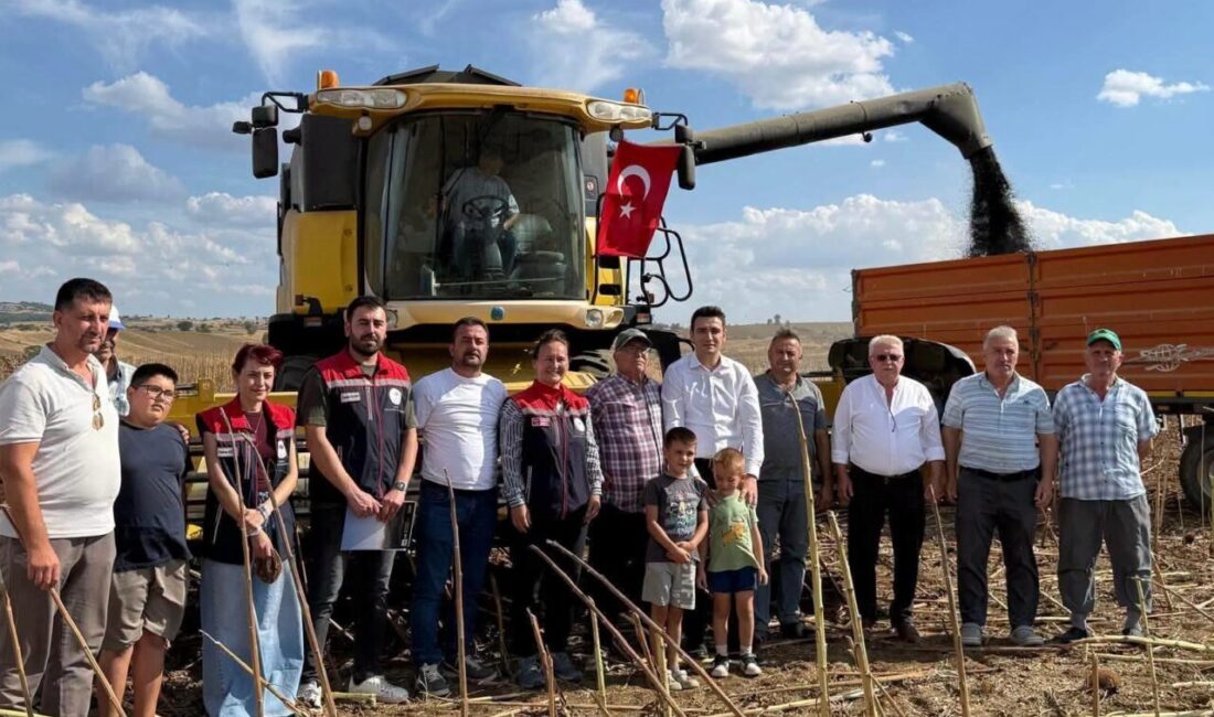 Edirne’nin tarım potansiyeliyle öne çıkan ilçesi İpsala’da, tarlalarda hareketli günler