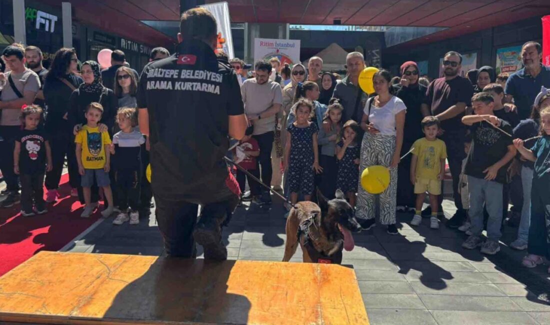 İstanbul'da Maltepe Belediyesi Afet İşleri ve Risk Yönetimi Müdürlüğü bünyesinde