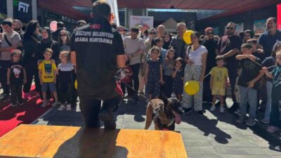 İstanbul'da Maltepe Belediyesi Afet İşleri ve Risk Yönetimi Müdürlüğü bünyesinde
