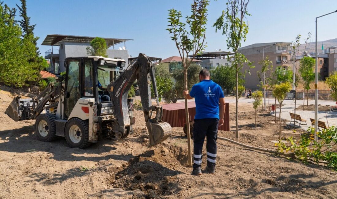 İzmir Büyükşehir Belediyesi, Çiğli Ahmet Efendi Mahallesi’nde atıl durumdaki bin