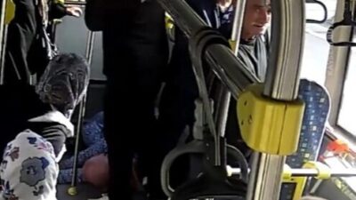 Kayseri Büyükşehir Belediyesi bünyesinde hizmet veren Ulaşım A.Ş. denetimindeki özel