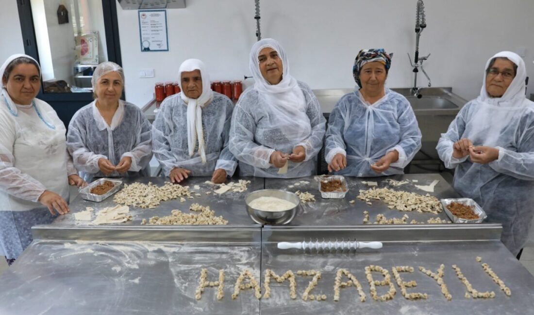 Mersin Büyükşehir Belediyesi Tarımsal Hizmetler Dairesi Başkanlığı, ‘Köyümüz Atölye Projesi’ ile Hamzabeyli