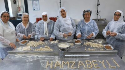 Mersin Büyükşehir Belediyesi Tarımsal Hizmetler Dairesi Başkanlığı, ‘Köyümüz Atölye Projesi’ ile Hamzabeyli