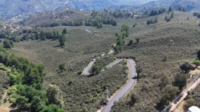 Ordu Büyükşehir Belediyesi Ulubey ilçesi Şeyhler Mahallesi’nde sıcak asfalt çalışması