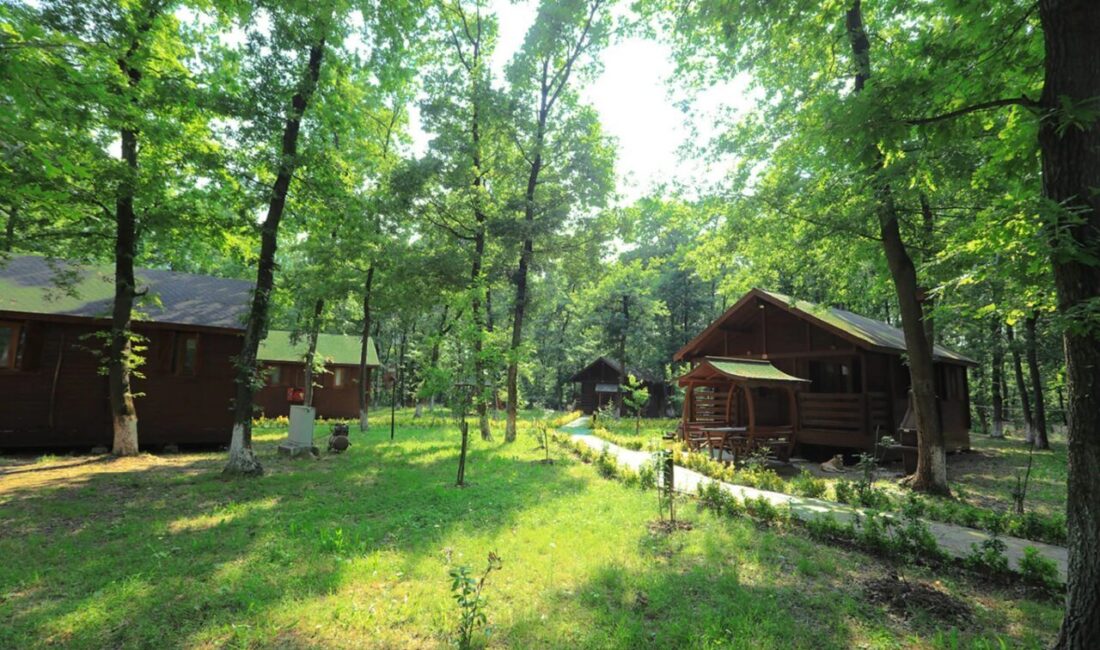 Sakarya Büyükşehir Belediyesi BELPAŞ bünyesinde hizmet veren İl Ormanı Bungalov