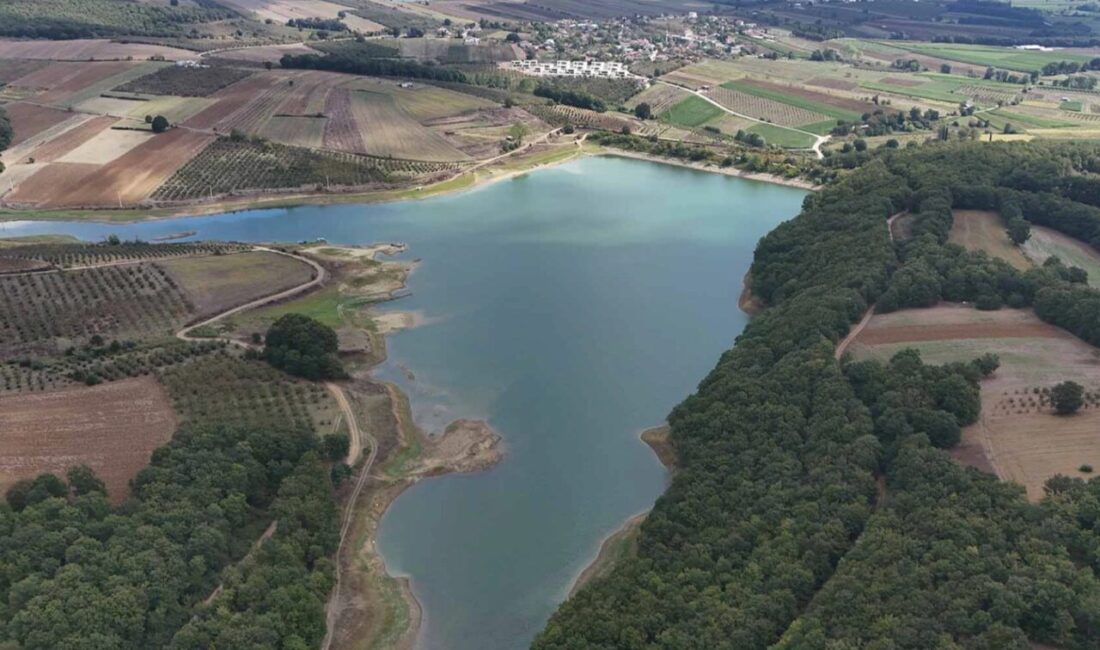 Sakarya Büyükşehir Belediyesi Sonbahar Doğa Yürüyüşleri, Elmalı Köyü-Aslanlar Göleti parkurunda