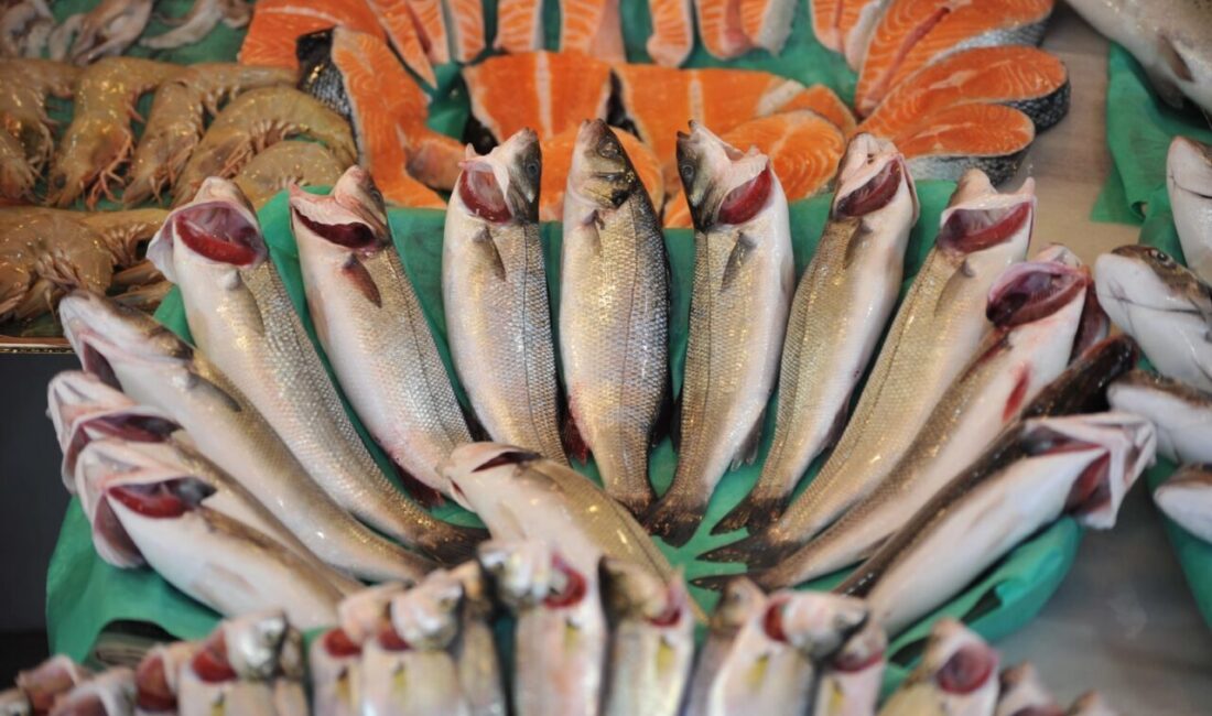 Türkiye’nin su ürünleri alanındaki tek ihtisas fuarı Future Fish Eurasia