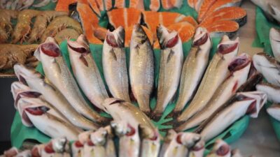 Türkiye’nin su ürünleri alanındaki tek ihtisas fuarı Future Fish Eurasia