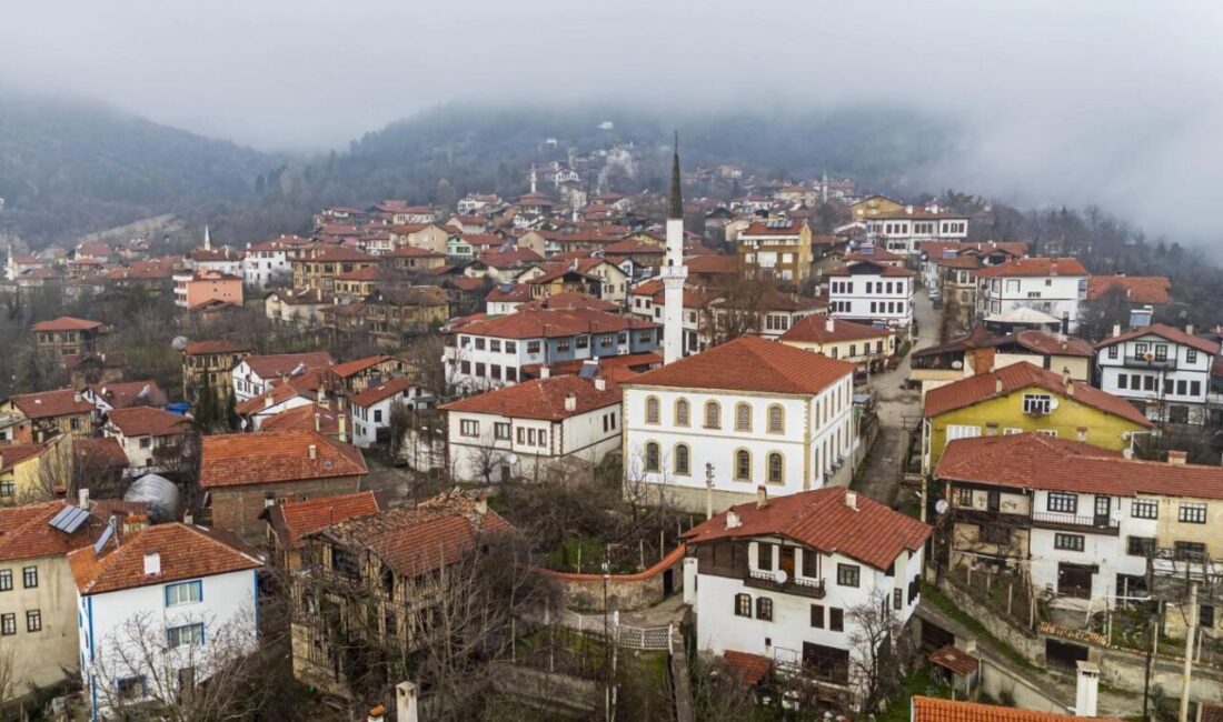 Türkiye Turizm Tanıtım ve Geliştirme Ajansı (TGA), GoTürkiye markası altında