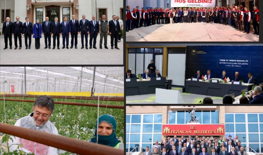 Toprak Mahsulleri Ofisi Genel Müdürü Ahmet Güldal, Tarım ve Orman