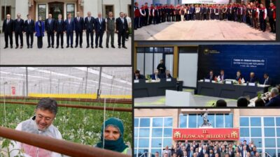 Toprak Mahsulleri Ofisi Genel Müdürü Ahmet Güldal, Tarım ve Orman