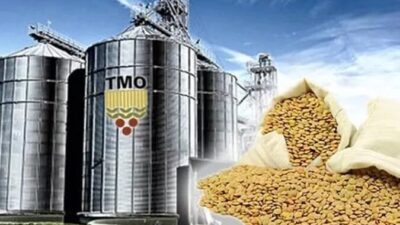 Toprak Mahsulleri Ofisi, Ağustos ayında teslim edilen hububat ve haşhaş