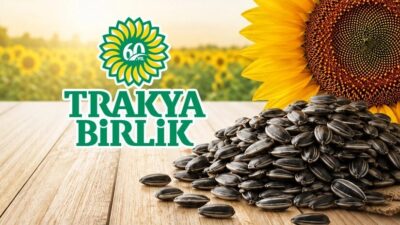 Trakya Birlik, ayçiçeğinde ön alım fiyatını ton başına 37 bin