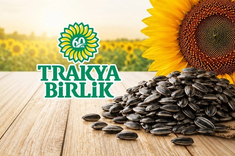 Trakya Birlik, ayçiçeğinde ön alım fiyatını ton başına 37 bin