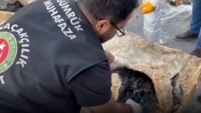 Ticaret Bakanlığı Gümrükler Muhafaza ekipleri, Ankara Esenboğa Havalimanı’nda düzenlenen üç