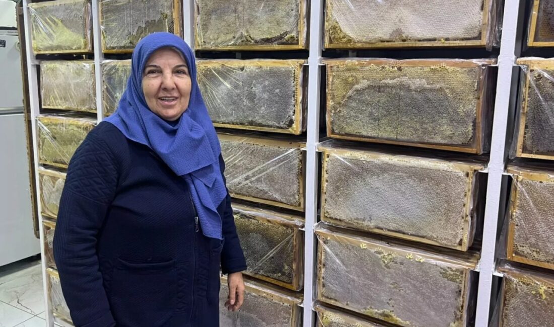 Ağrı’da hava sıcaklıklarının düşmesiyle arıcılıkta kış dönemi başladı. Aladağ Balı