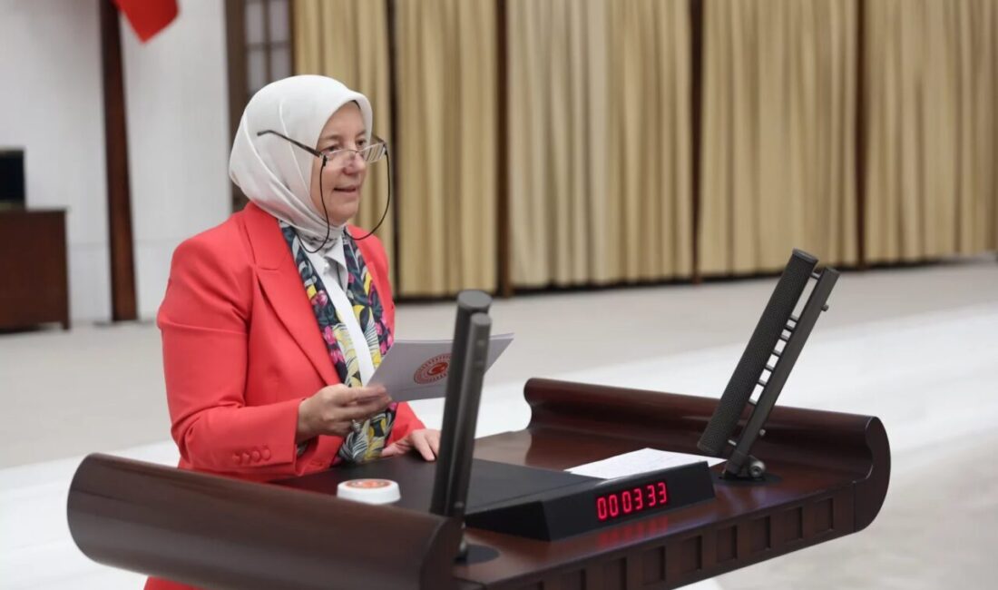 TBMM'de konuşan Adalet Komisyonu Sözcüsü AK Parti Bursa Milletvekili Av.