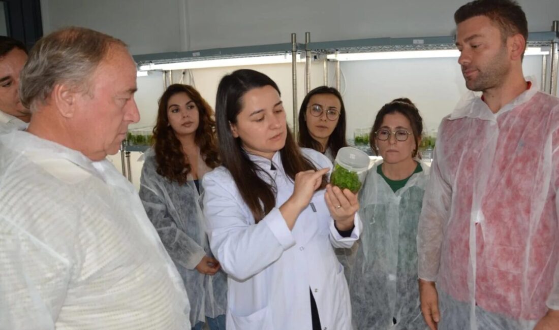 Balıkesir Büyükşehir Belediyesi Kırsal Hizmetler Daire Başkanlığı bünyesinde faaliyet gösteren
