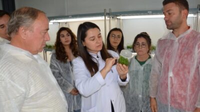 Balıkesir Büyükşehir Belediyesi Kırsal Hizmetler Daire Başkanlığı bünyesinde faaliyet gösteren