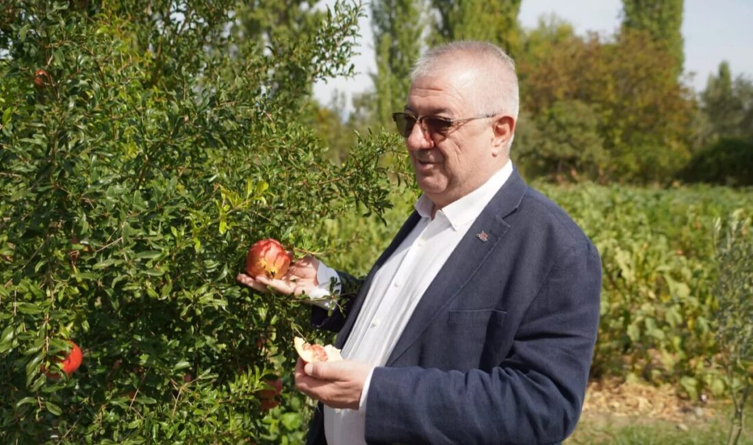 Balıkesir Edremit Belediye Başkanı Mehmet Ertaş, ilçede görev yapan basın