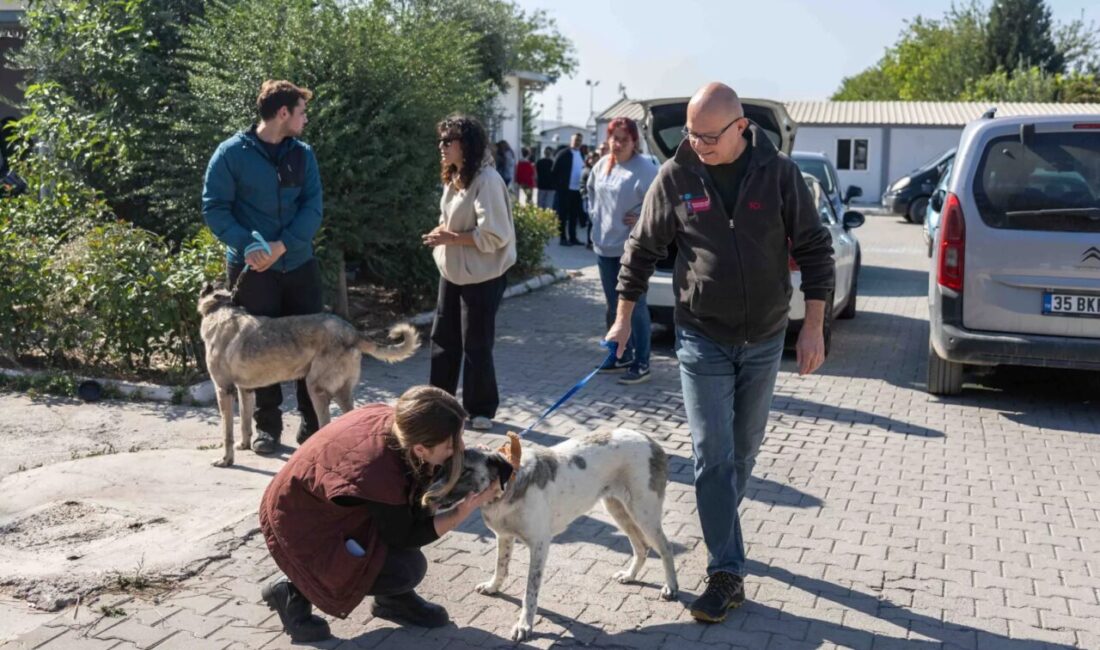 Ege Üniversitesi Rektörünün talebi ve Bornova Kaymakamının talimatıyla üniversite kampüsündeki