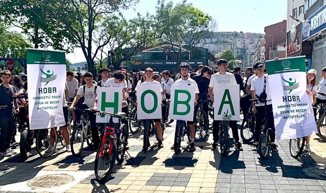 Bursa İl Milli Eğitim Müdürlüğü tarafından yürütülen Hareketli Yaşam, Oyun