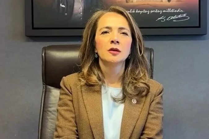 CHP Genel Başkan Yardımcısı Gamze Akkuş İlgezdi, Ulusal Taşıt Tanıma