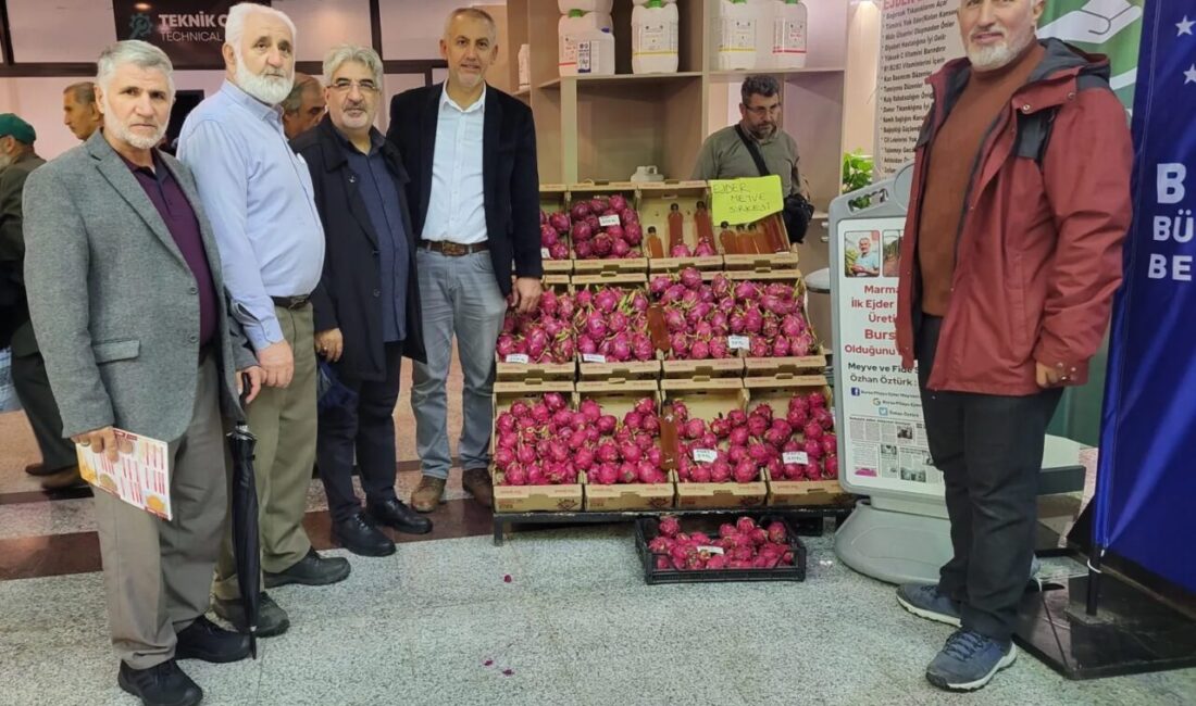 Esnaf ve Sanatkârlar Derneği (ESDER) Bursa Şubesi, Bursa Tarım, Hayvancılık