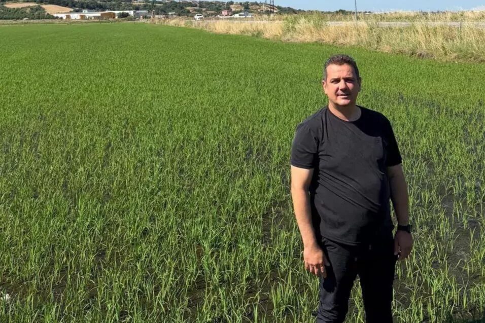 İpsala Çeltik Üreticileri Birliği Başkanı Hüseyin Bakan, yeni sezon çeltik