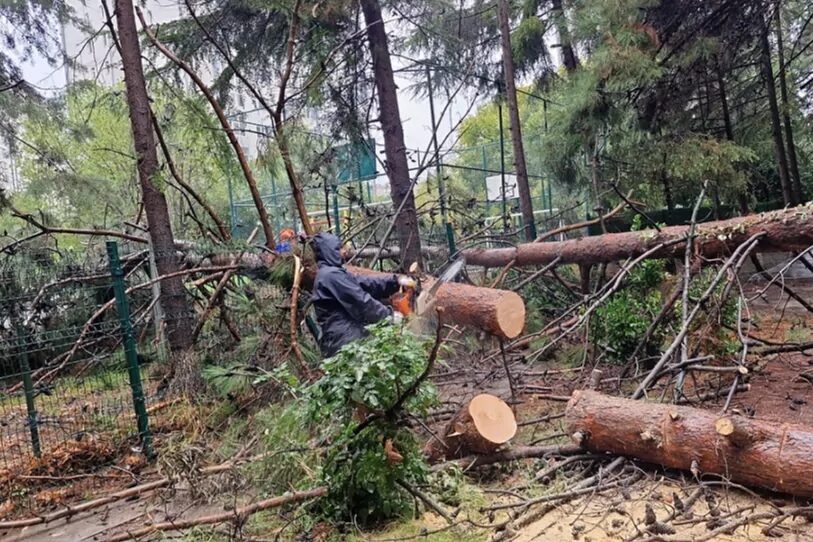 Beylikdüzü’nde etkili olan sağanak yağış nedeniyle hızla harekete geçen Beylikdüzü