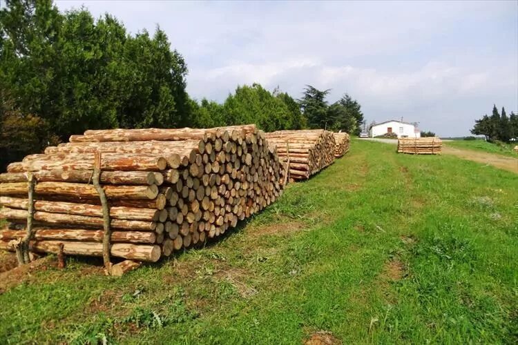 İstanbul Orman Bölge Müdürlüğü’ne bağlı Demirköy Orman İşletme Müdürlüğü, 15