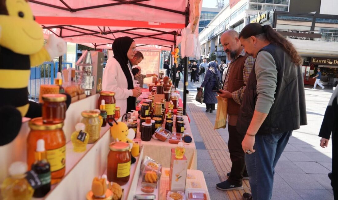 İzmit Belediyesi ile Kocaeli İli Arı Yetiştiricileri Birliği iş birliğinde
